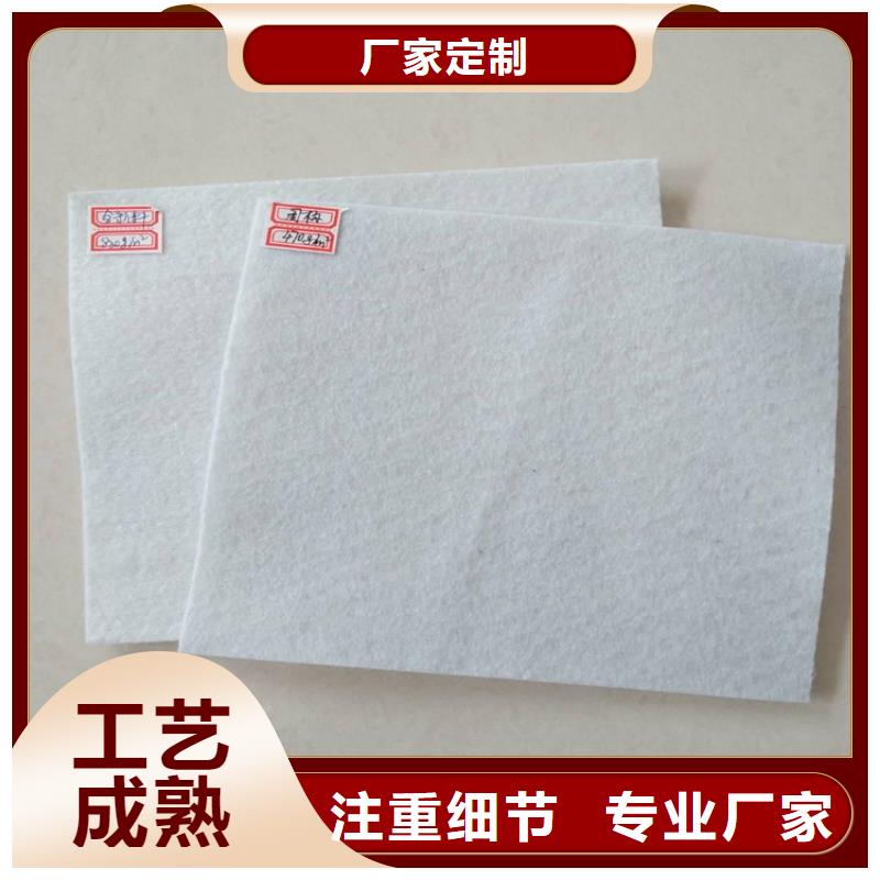 土工布,塑料盲沟丰富的行业经验
