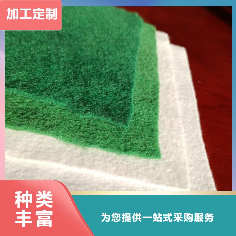 【土工布】土工网实力厂家直销