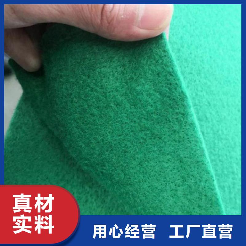 80KN玻纤格栅视频-乐山市80KN玻纤格栅-(附近)可服务区域犍为|夹江|南充|绵阳|宜宾|攀枝花