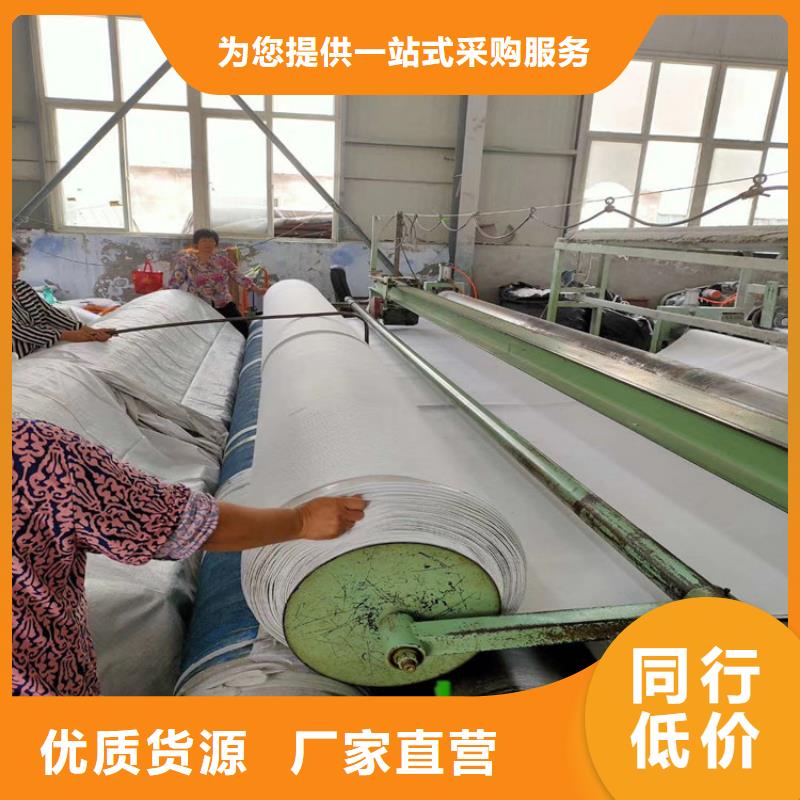 80KN玻纤格栅视频-乐山市80KN玻纤格栅-(附近)可服务区域犍为|夹江|南充|绵阳|宜宾|攀枝花