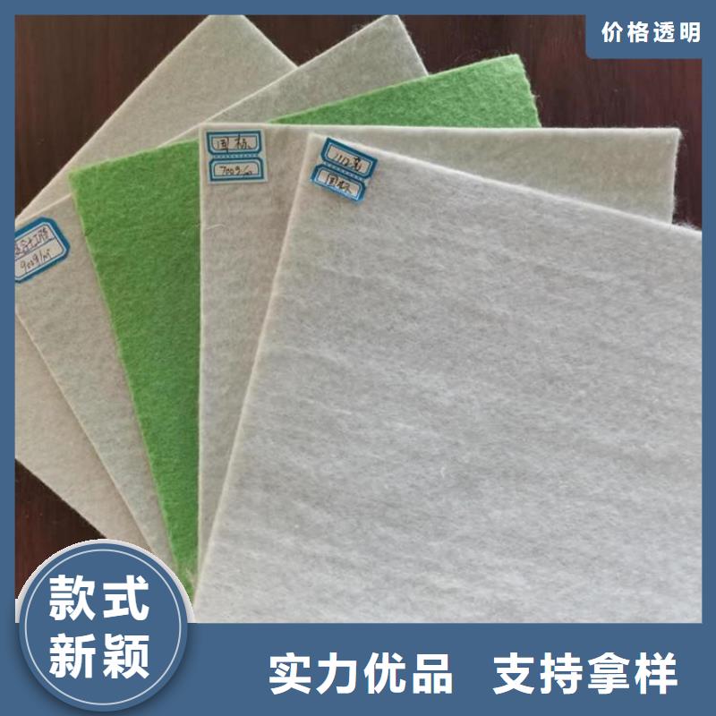 【土工布】土工网实力厂家直销