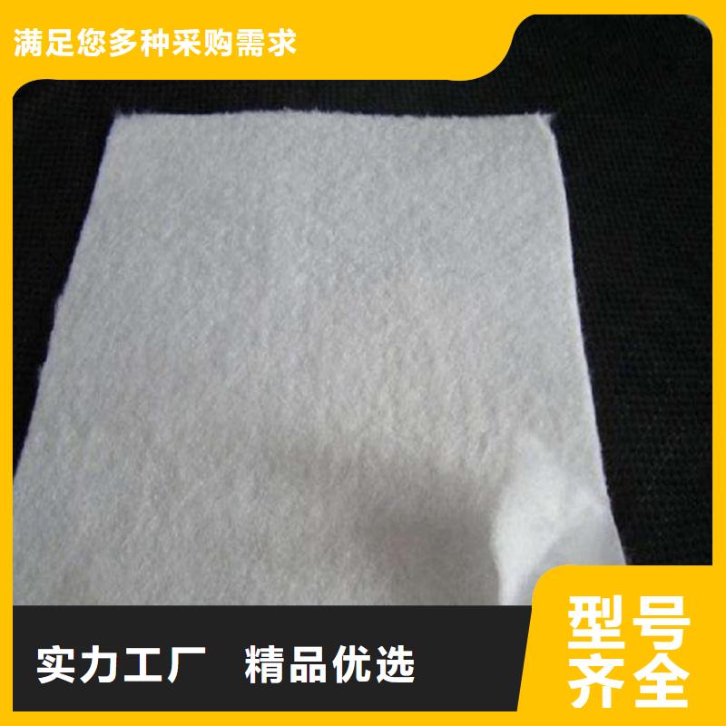 【土工布】土工网实力厂家直销