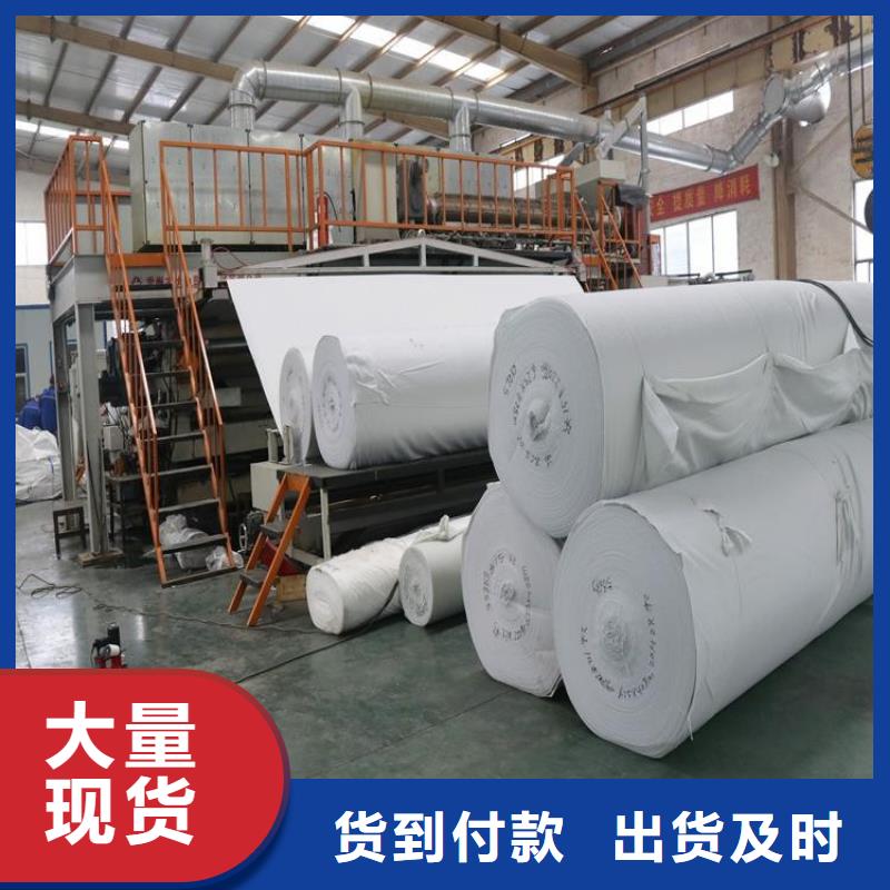 【土工布】土工网实力厂家直销