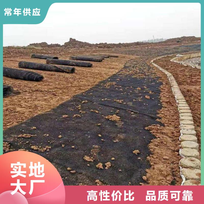 水土保护毯复合土工膜闪电发货