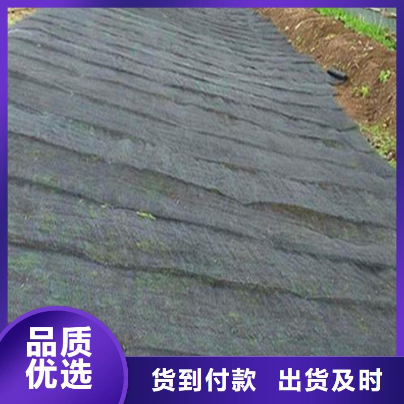 水土保护毯【通风降噪丝网】精工制作