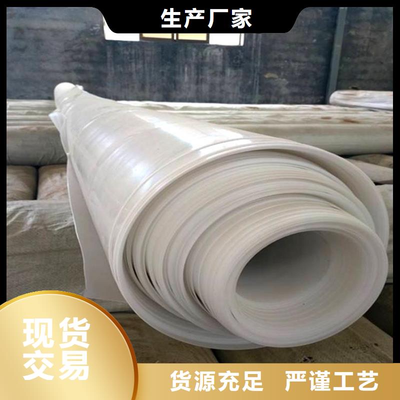 【防水板】双向塑料土工格栅准时交付