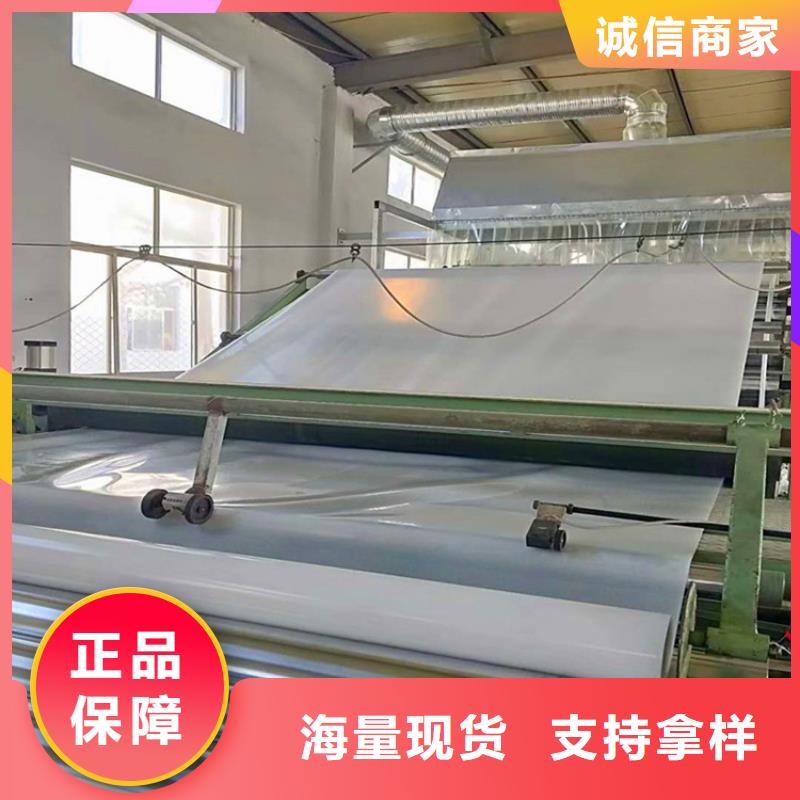 【防水板】双向塑料土工格栅准时交付