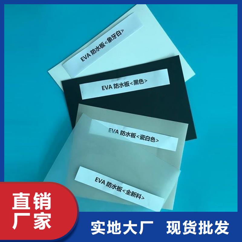 防水板【塑料玻纤格栅】重信誉厂家