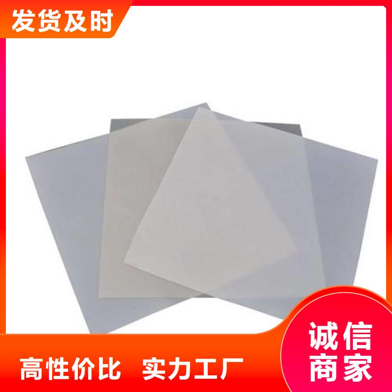 防水板【塑料玻纤格栅】重信誉厂家