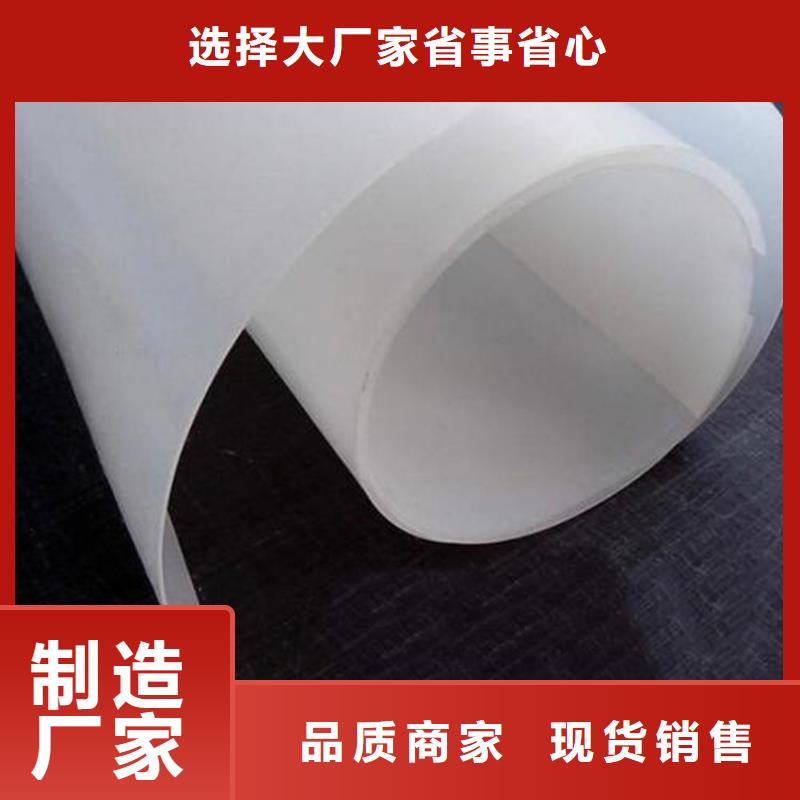 防水板【塑料玻纤格栅】重信誉厂家