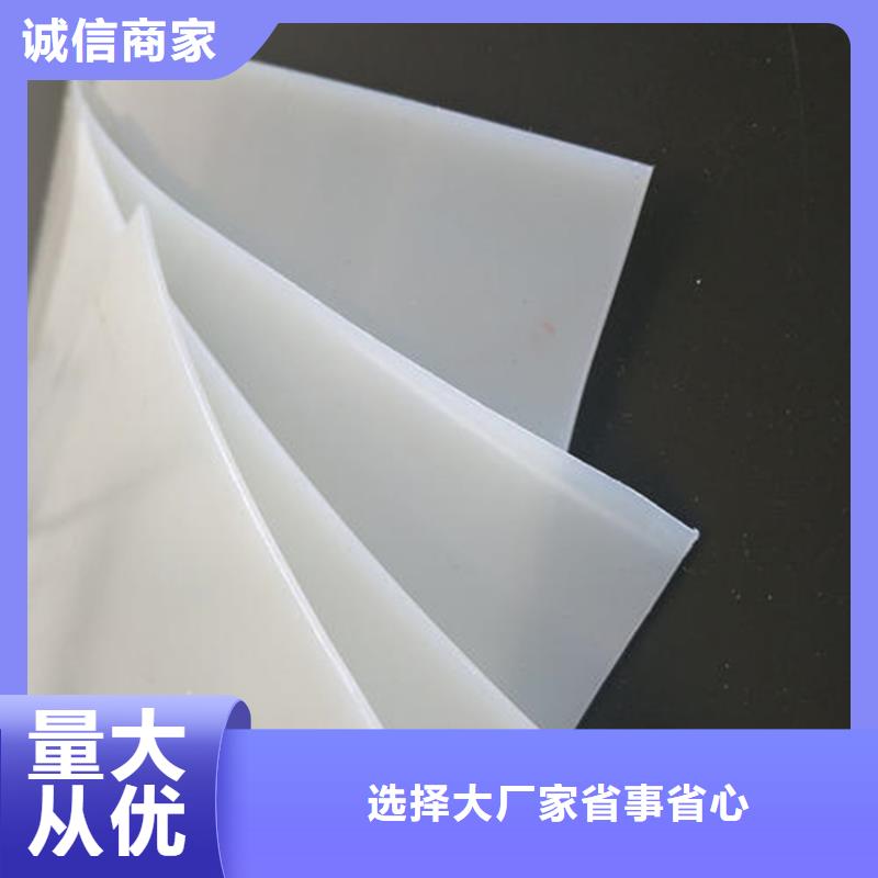 【防水板】双向塑料土工格栅准时交付