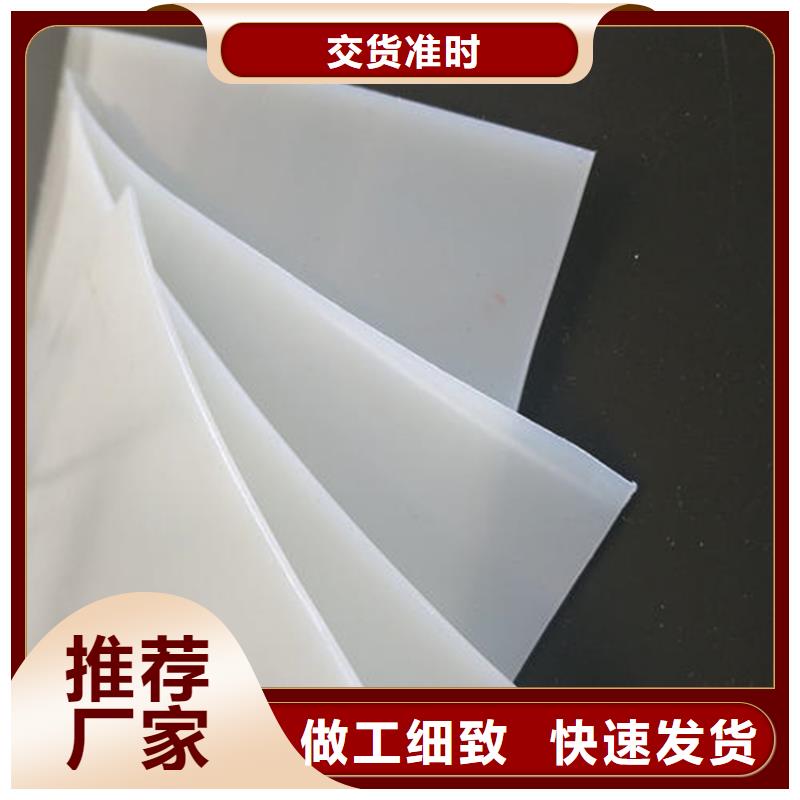 防水板【塑料玻纤格栅】重信誉厂家