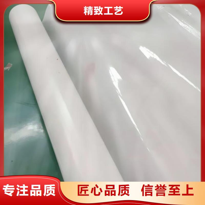 【防水板】双向塑料土工格栅准时交付