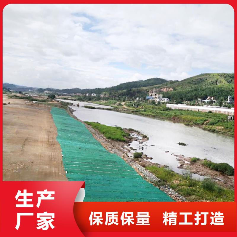 椰丝毯土工膜专注产品质量与服务