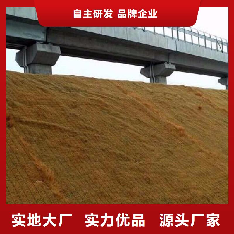 椰丝毯土工膜专注产品质量与服务