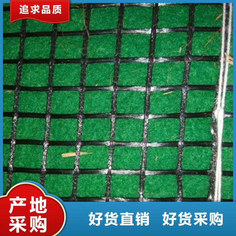【椰丝毯-土工膜厂家技术完善】