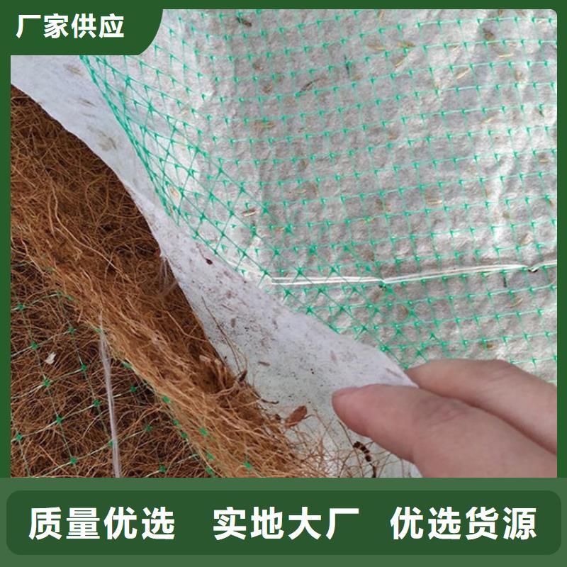 椰丝毯土工膜专注产品质量与服务