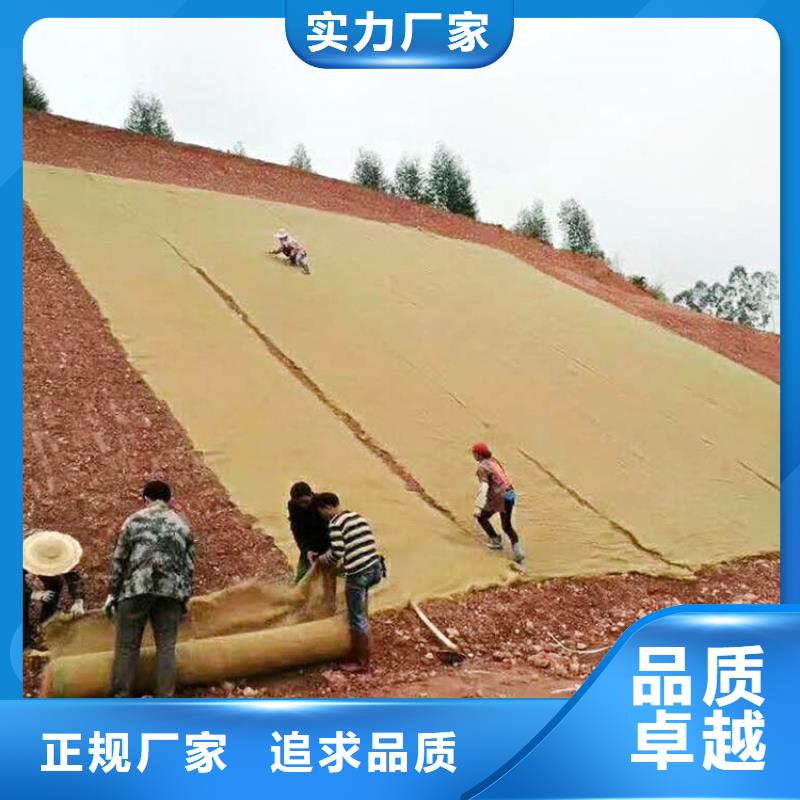 椰丝毯土工膜诚信厂家
