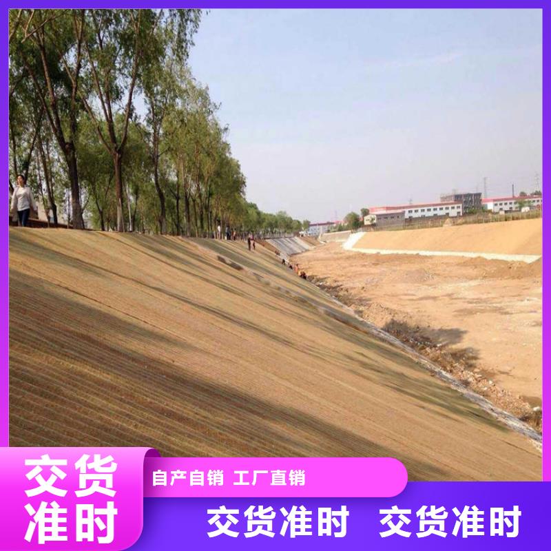 椰丝毯土工膜诚信厂家