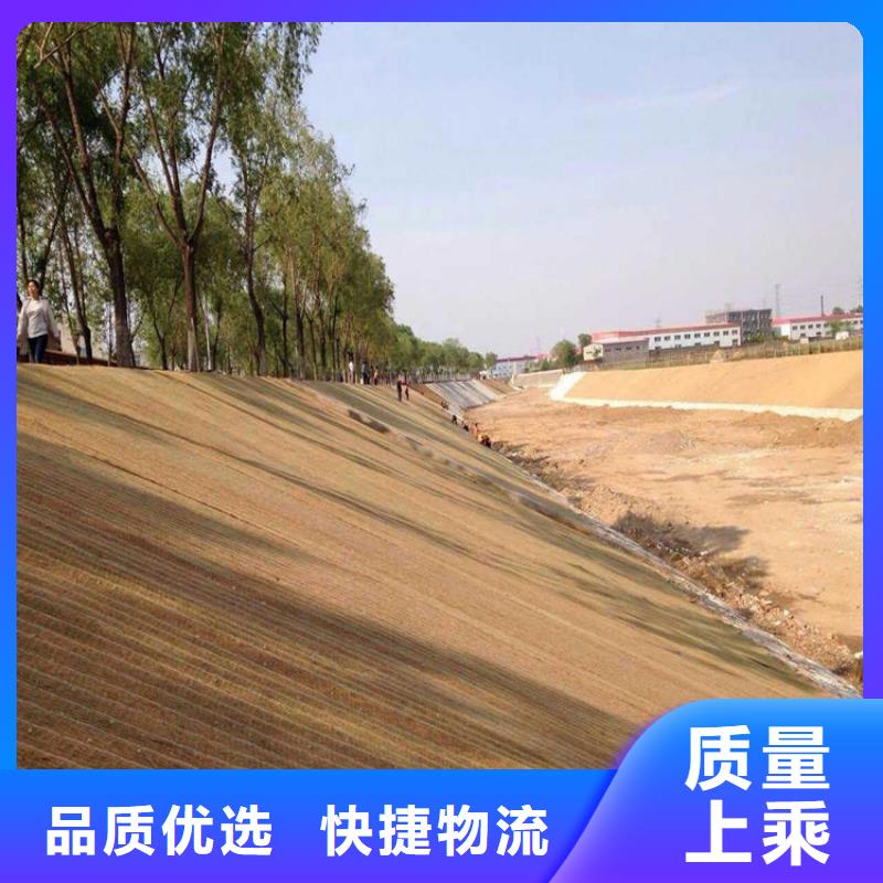 椰丝毯土工膜专注产品质量与服务