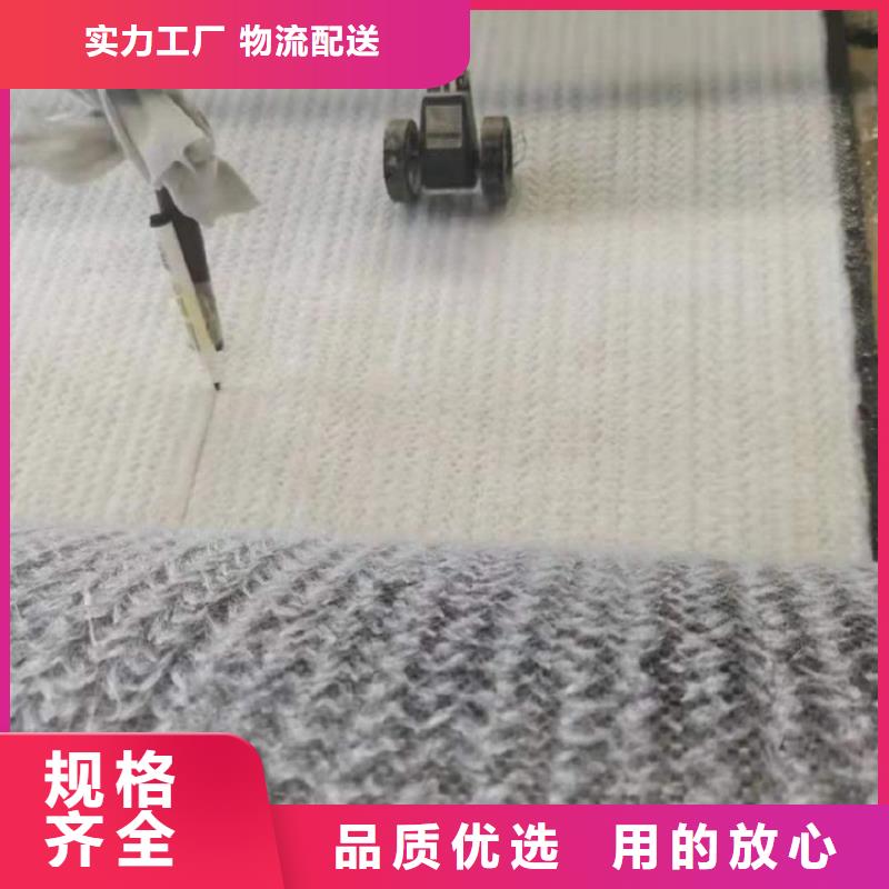 80KN玻纤格栅视频-80KN玻纤格栅|海西市|西宁|黄南|玉树|海北|海南