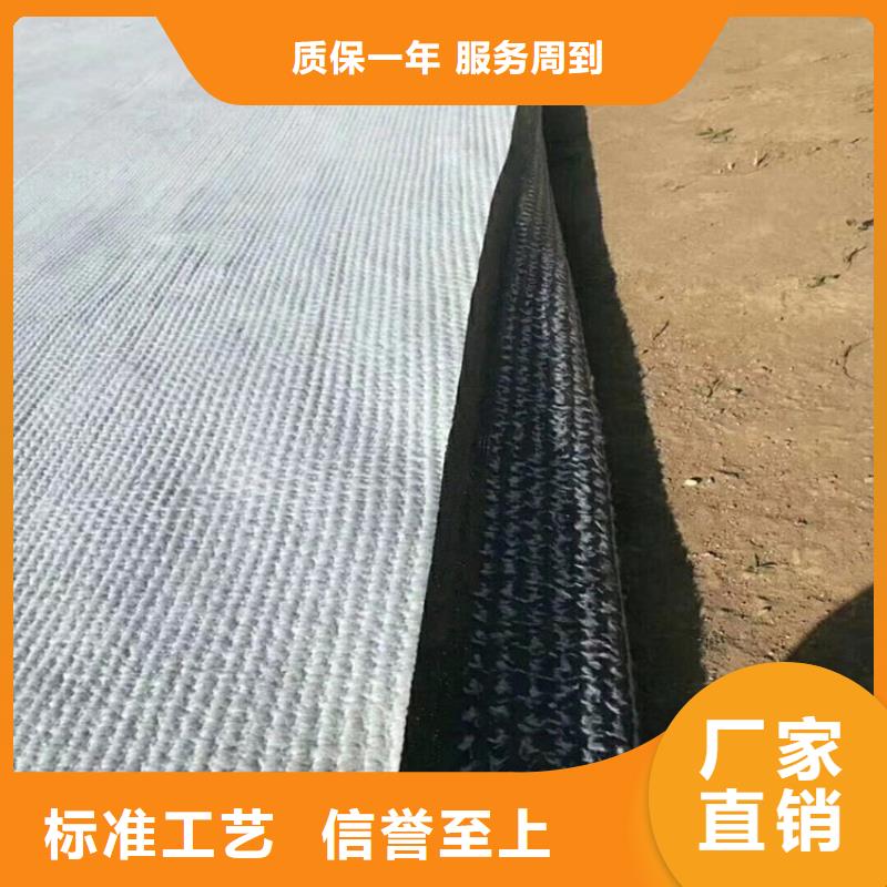 80KN玻纤格栅视频-鄂尔多斯|通辽|呼伦贝尔|阿拉善|包头|呼和浩特80KN玻纤格栅有口皆碑-中齐建材(锡林郭勒市分公司)