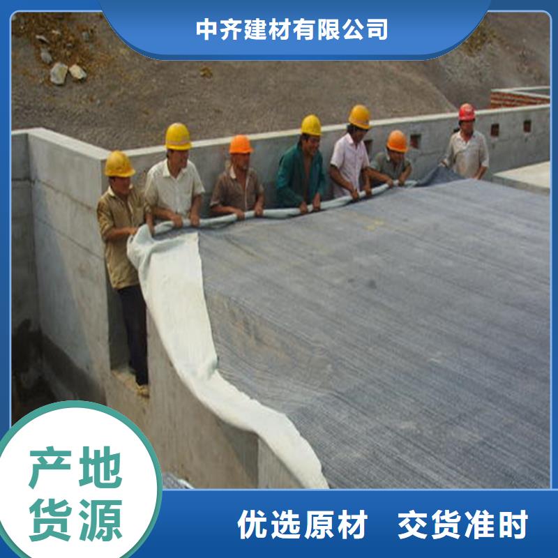 膨润土防水毯-防渗膜型号齐全