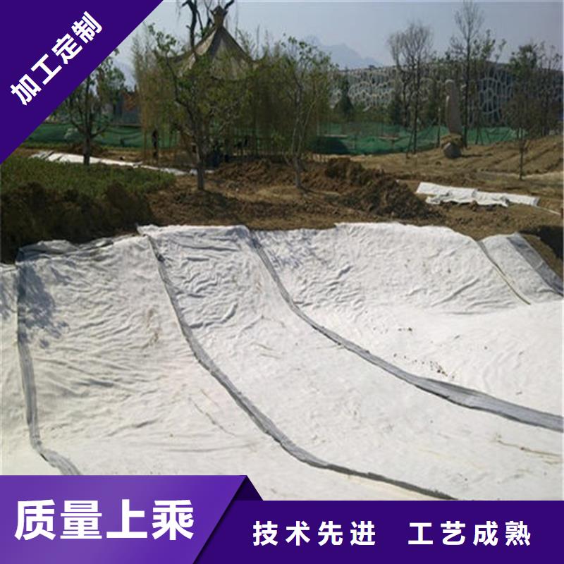 膨润土防水毯软式透水管批发商