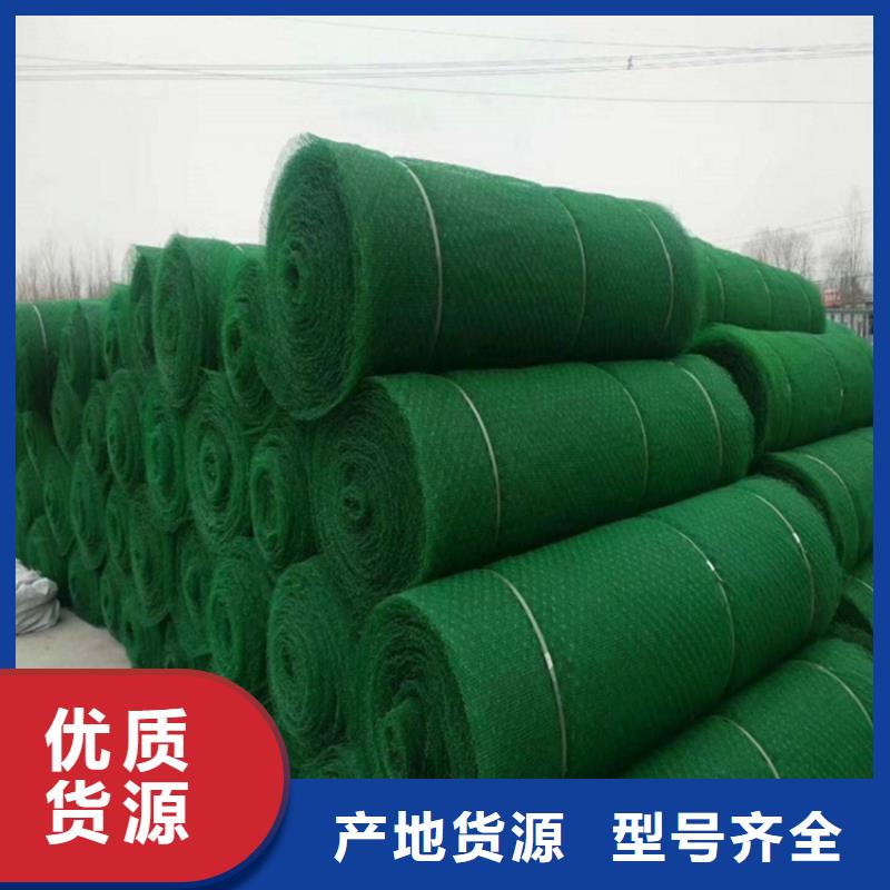 三维植被网,【土工布】为您精心挑选