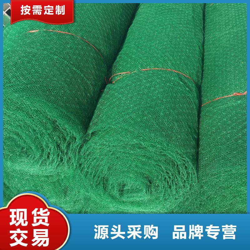 三维植被网土工格室根据要求定制