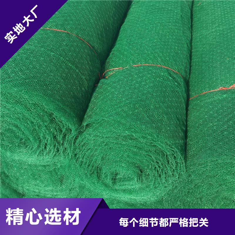 三维植被网,土工网垫本地配送