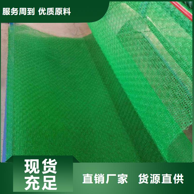 三维植被网,土工网垫本地配送
