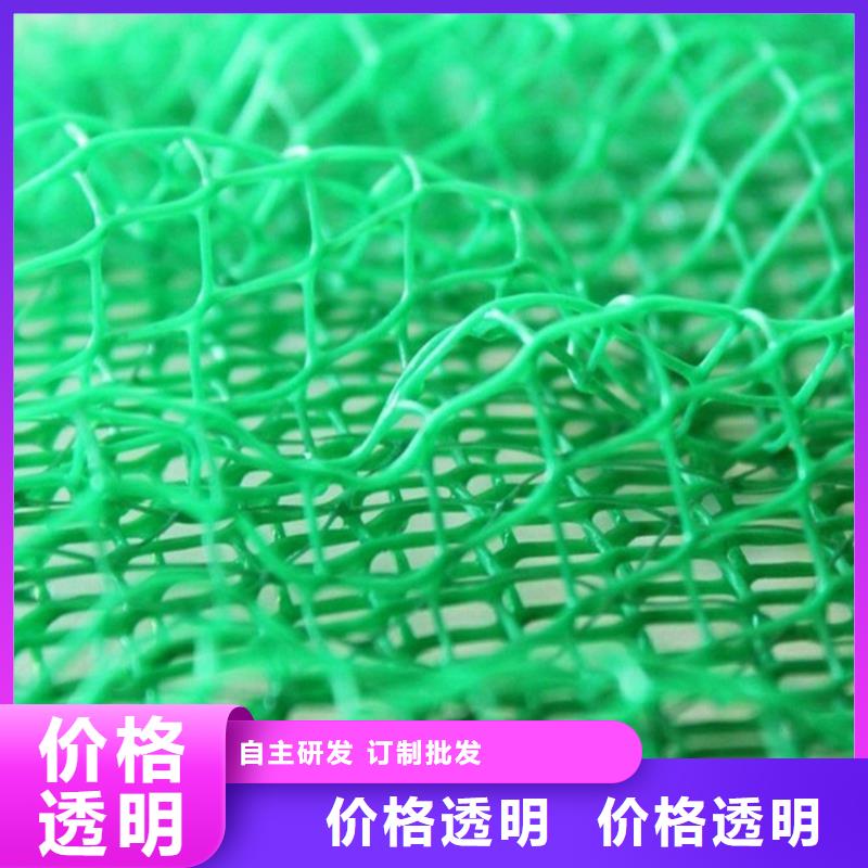 三维植被网,【土工布】为您精心挑选