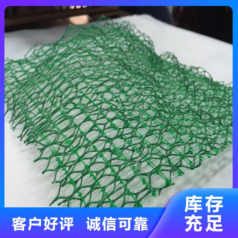 三维植被网土工格室根据要求定制