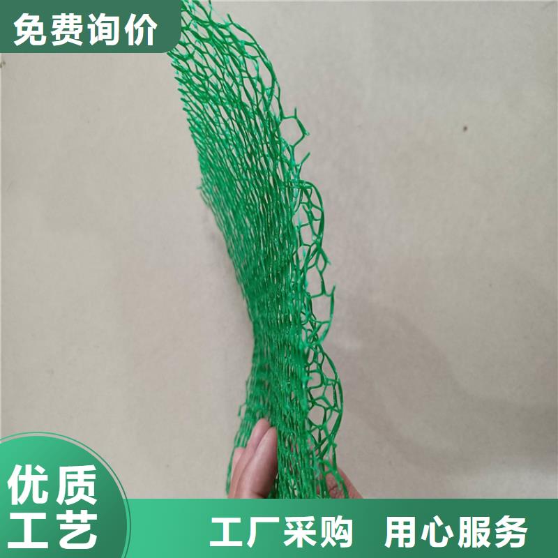 三维植被网植草格好产品有口碑