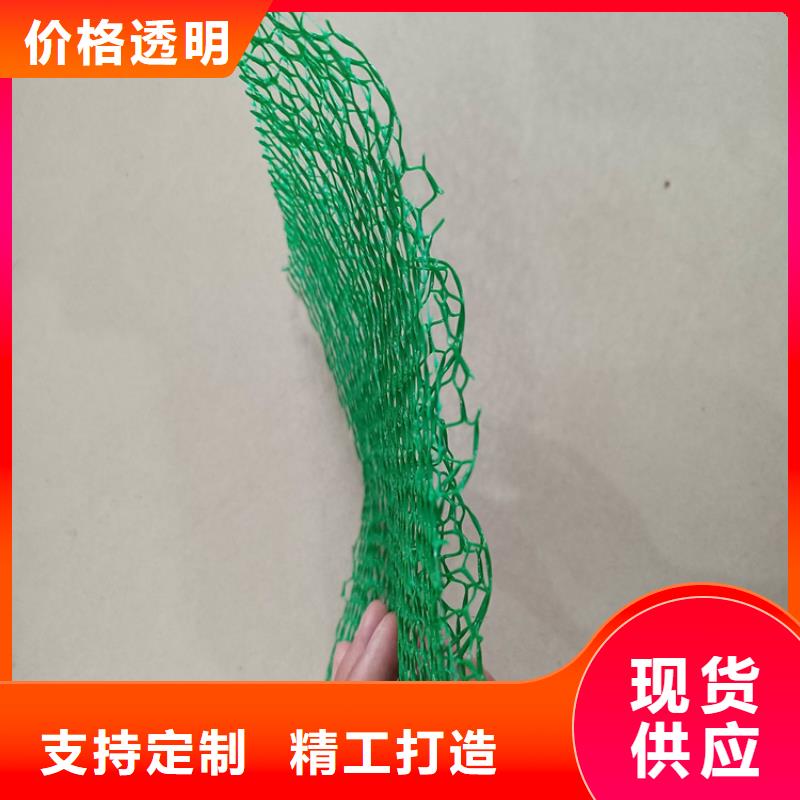 三维植被网,土工网垫本地配送