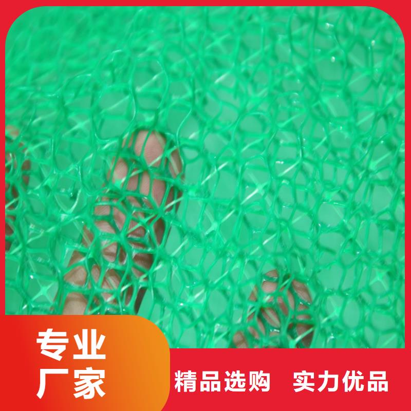 三维植被网植草格好产品有口碑