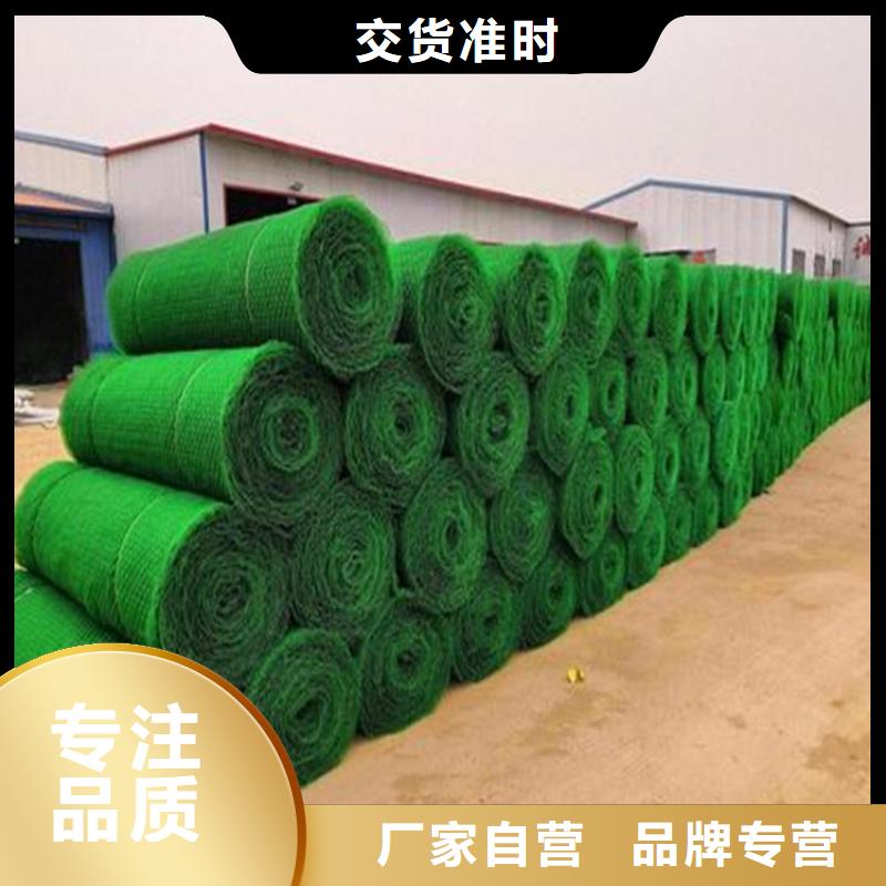 三维植被网,【土工布】为您精心挑选