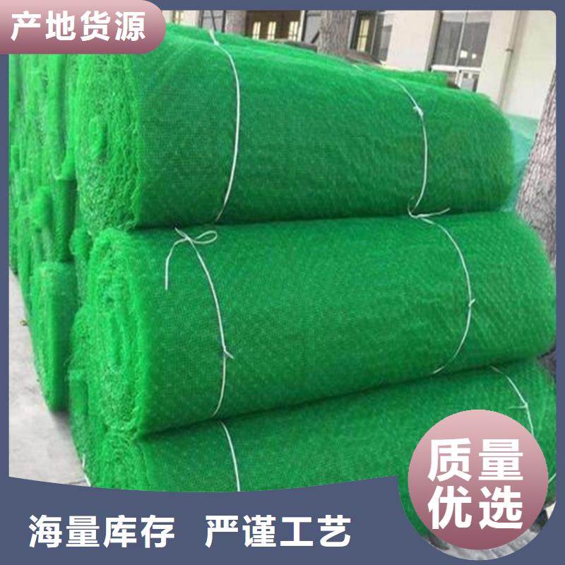 三维植被网土工格室根据要求定制