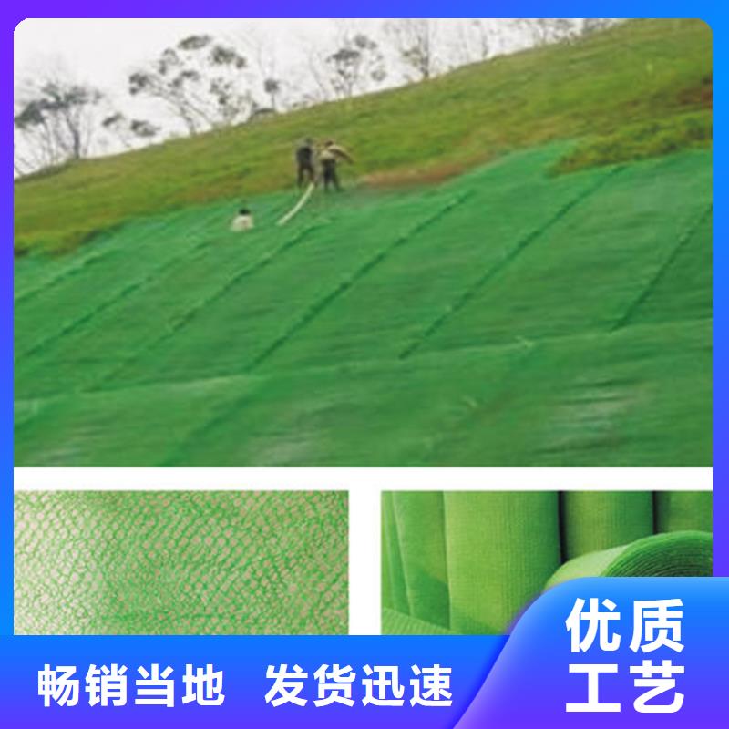三维植被网,【土工布】为您精心挑选
