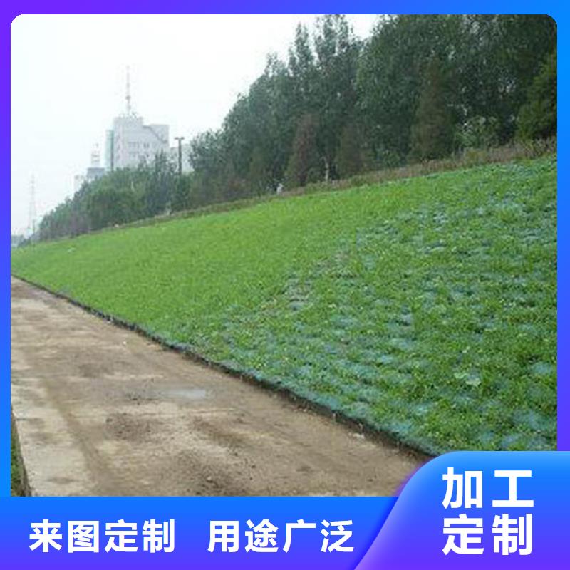 三维植被网,【土工布】为您精心挑选