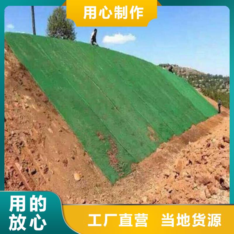 三维植被网,【土工布】为您精心挑选