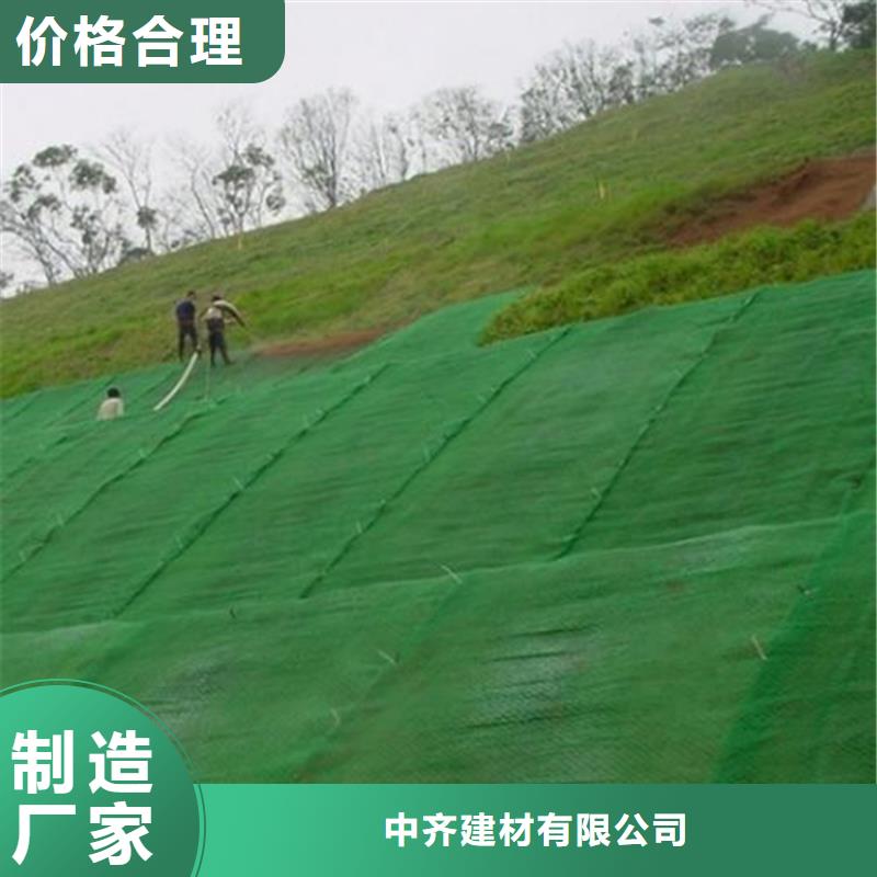 三维植被网,【土工布】为您精心挑选