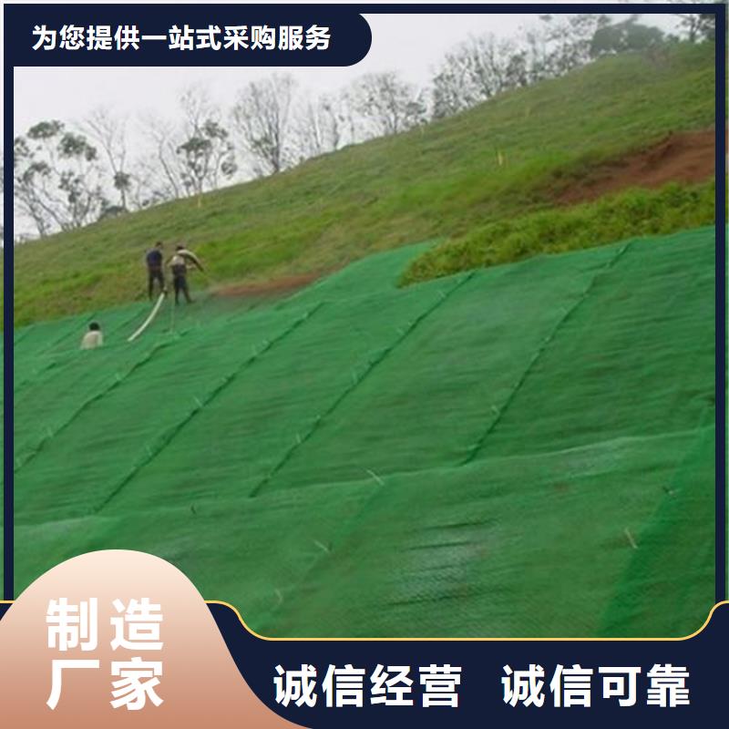 三维植被网土工格室根据要求定制