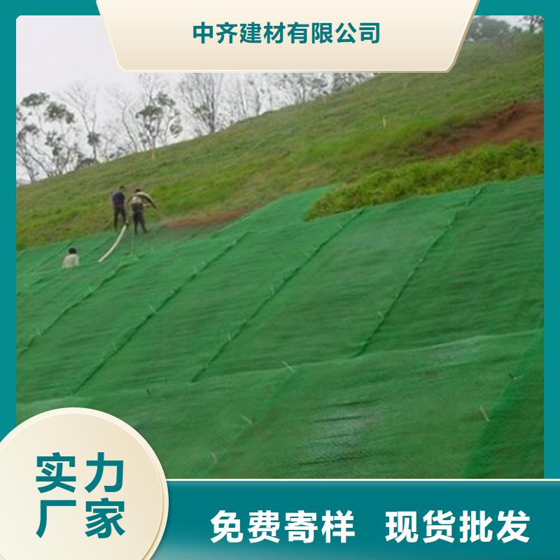 三维植被网土工格室根据要求定制