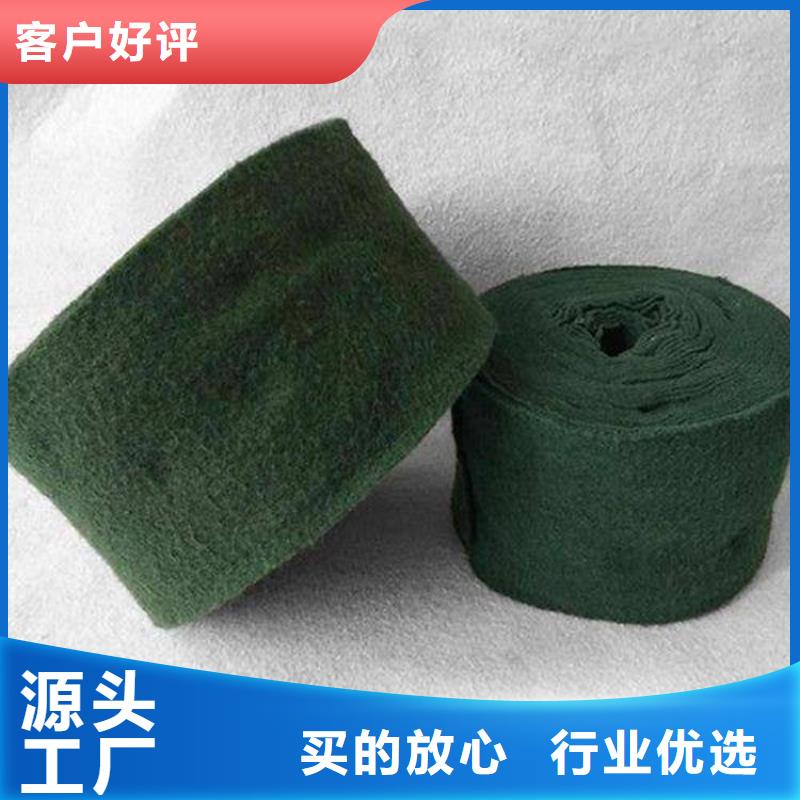 80KN玻纤格栅视频-广东省汕头市中齐80KN玻纤格栅可服务区域金平|潮阳|肇庆|江门|潮州|深圳等