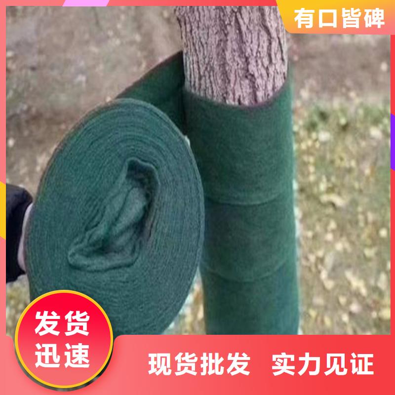80KN玻纤格栅视频-广东省汕头市中齐80KN玻纤格栅可服务区域金平|潮阳|肇庆|江门|潮州|深圳等