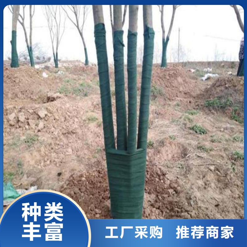 裹树布_膨润土防水毯产地采购