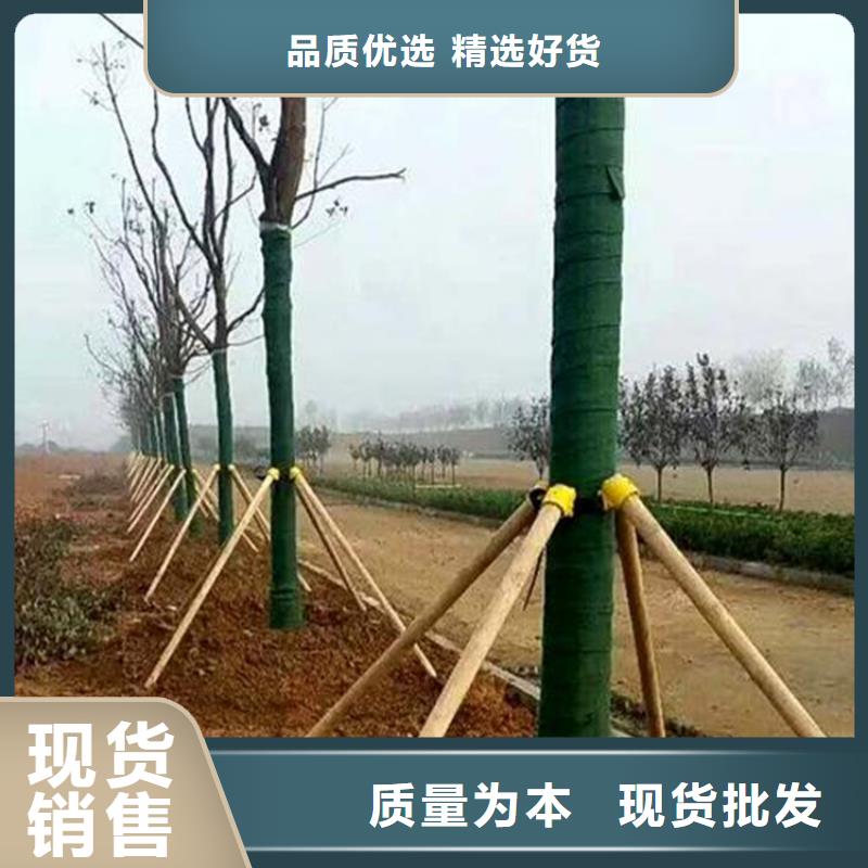 裹树布_膨润土防水毯产地采购