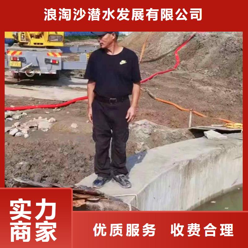 潜水员服务,水下堵漏团队实力公司